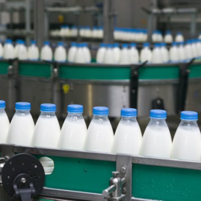 mælk på procesbånd